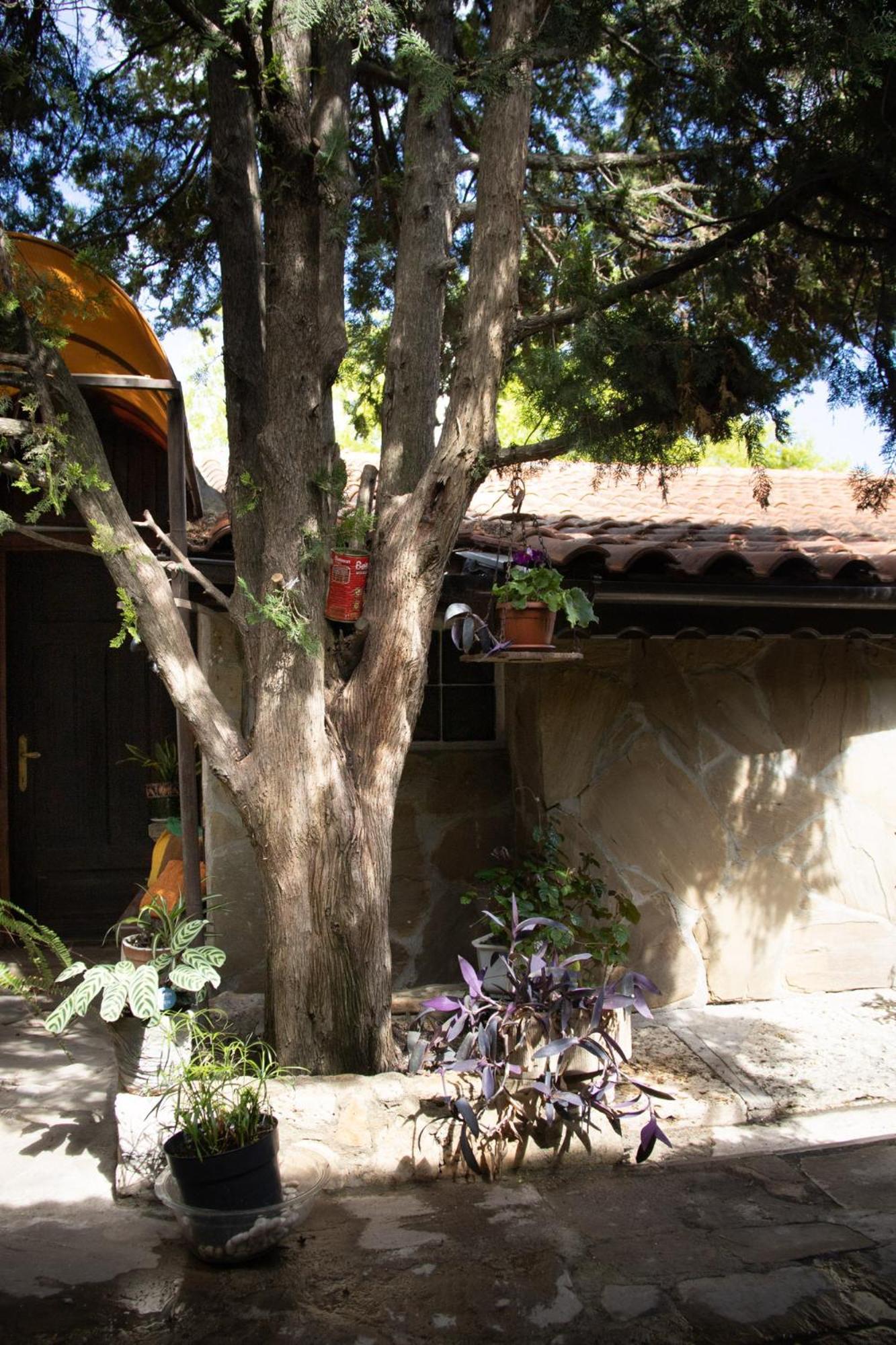 Старата Баkалия The Old Grocery, Guest Rooms Balchik Luaran gambar